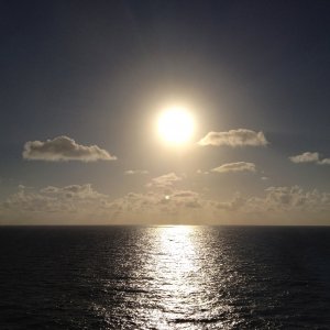 IMG_2531.jpg