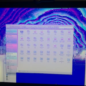 Time Machine Bug.jpg