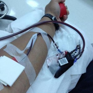 platelet.jpg