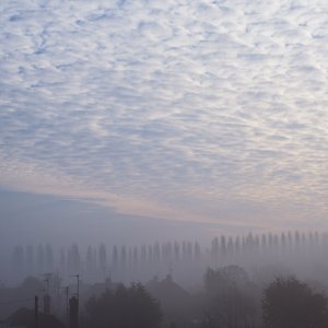 DSCF9093.jpg