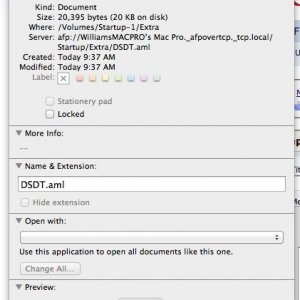 DSDT File.jpg
