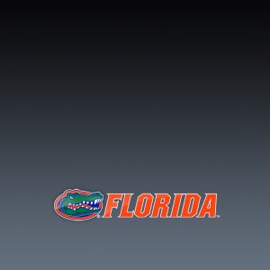 gator ipad walpaper2.jpg