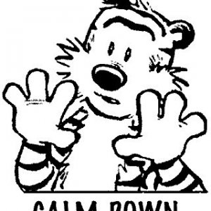 CalmDown.jpeg