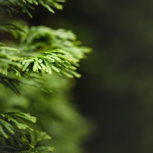 FB_August_06_2018_001.jpg