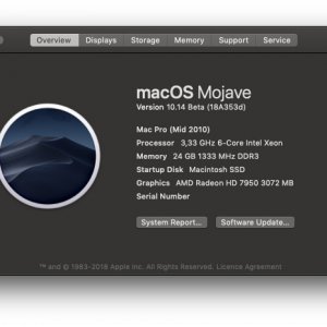 Screenshot Mojave.jpg