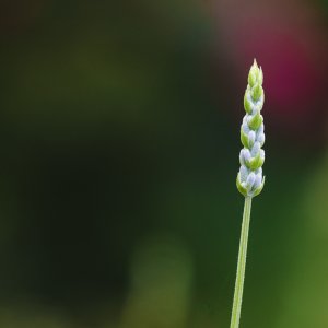 FB_August_09_2018_001.jpg