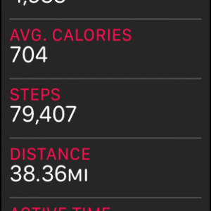 STEPS.png