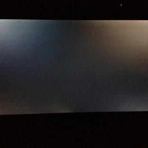 photo.JPG