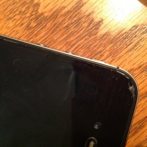 IMG03.jpg