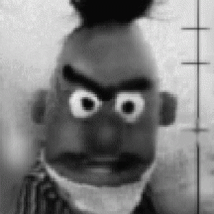 bert.gif