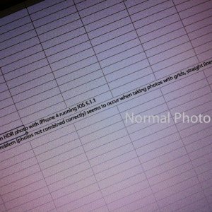 IMG_3387 (reduced size, added annotation, removed GPS infomation).jpg