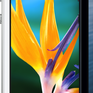 display_hero_2x.png