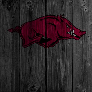 Arkansas.jpg