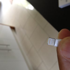 photo.JPG