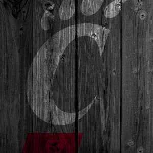 dark-wood-iphone5uc.jpg