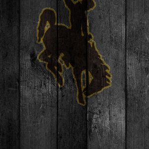 horse_higher.jpg