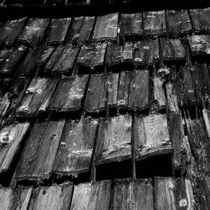 shingles_2007.jpg