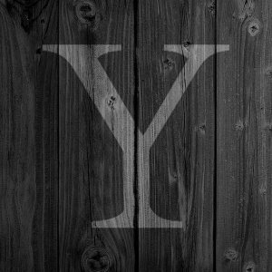 y_center.png