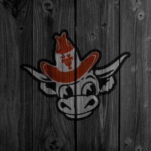 bull_2.png