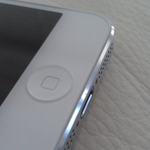 IMAG0541.jpg