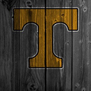 dark-wood-iphone5UT.jpg