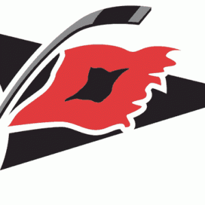 caroline-hurricanes-logo.gif