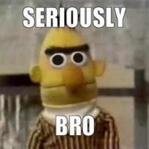 seriously-bro-thumb.jpg