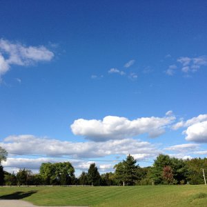 goodbye blue sky.JPG