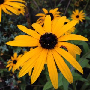 IMG_0005_2.jpg