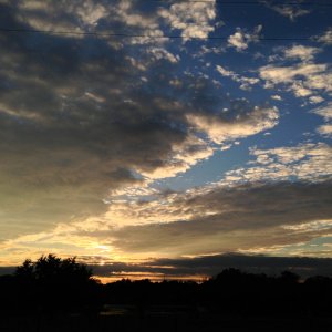 ImageUploadedByTapatalk1349206032.435320.jpg