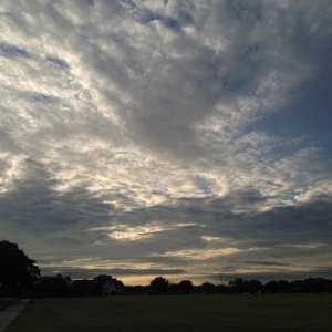 ImageUploadedByTapatalk1349206691.333547.jpg