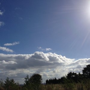 Sun2.JPG
