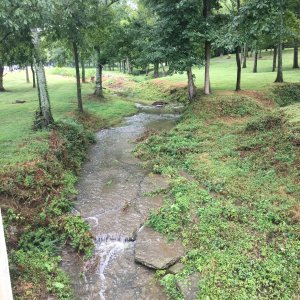 IMG_7540.JPG