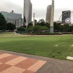IMG_5275.jpg