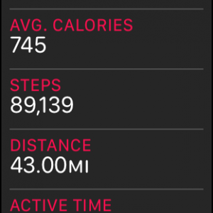 STEPS.png