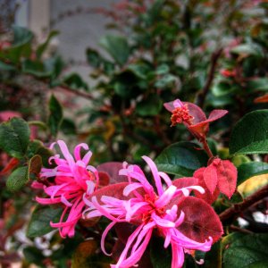 IMG_0054.JPG
