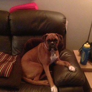 image.jpg