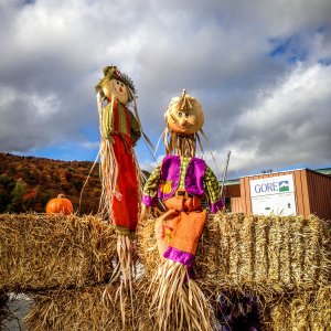 Fall2012.jpg