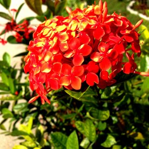 IMG_0082.JPG