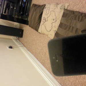 20121017_202403.jpg