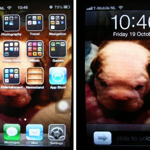 i4 screen.jpg