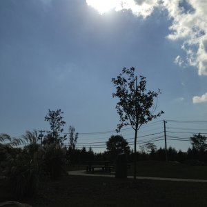 ImageUploadedByTapatalk1350756829.855839.jpg