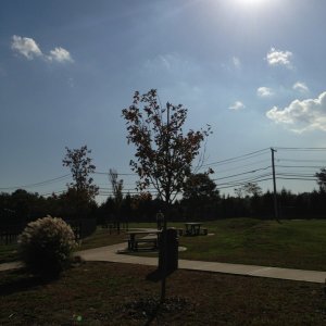 ImageUploadedByTapatalk1350758072.914608.jpg