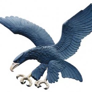 AteneoBlueEagle.jpg