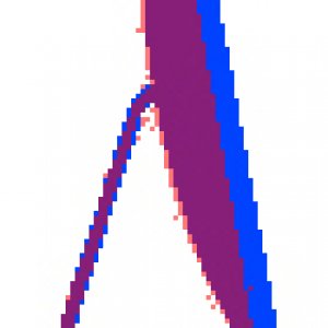evolution_2009 totoday copy.jpg