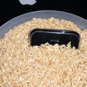 wet-iphone-rice-trick-225x300.jpeg