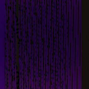 IMG_1206.PNG