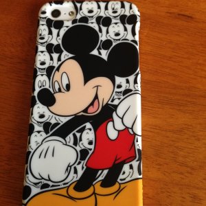 mickey 1.JPG