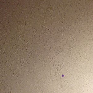 photo-10.JPG