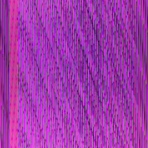 photo.PNG